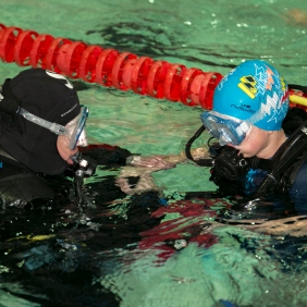 Diving lesson. Pic 9